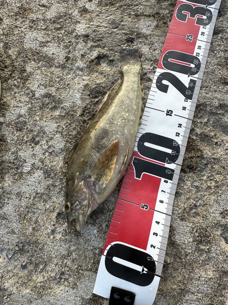 とある雪民のサウナ記録さんのなごみ処 湯ったら温泉のサ活写真