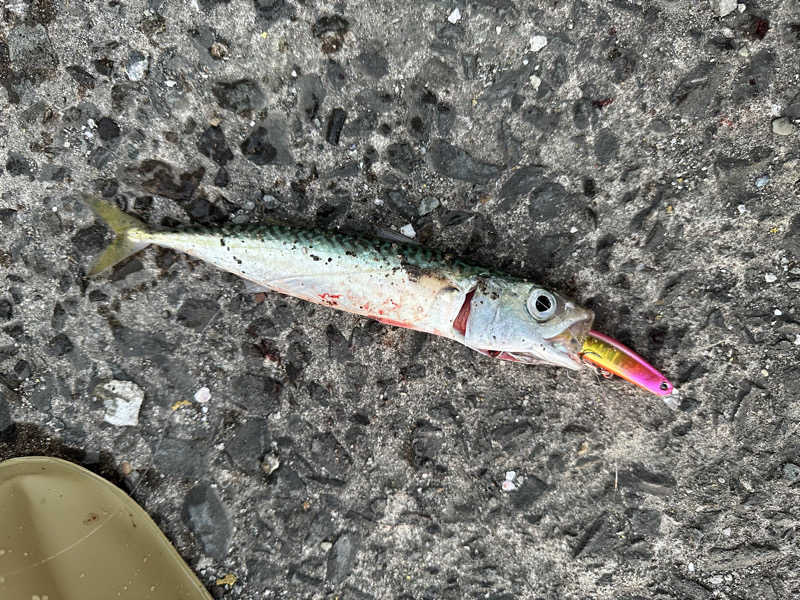 とある雪民のサウナ記録さんの外ヶ浜町健康増進センターみんまやよしつねの湯のサ活写真