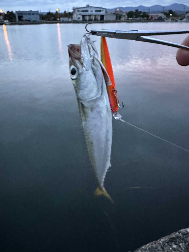 とある雪民のサウナ記録さんの白馬龍神温泉のサ活写真