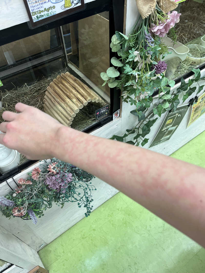 ふくださんさんのウツノミヤサウナクラブ簗瀬店Boss15Town2階のサ活写真