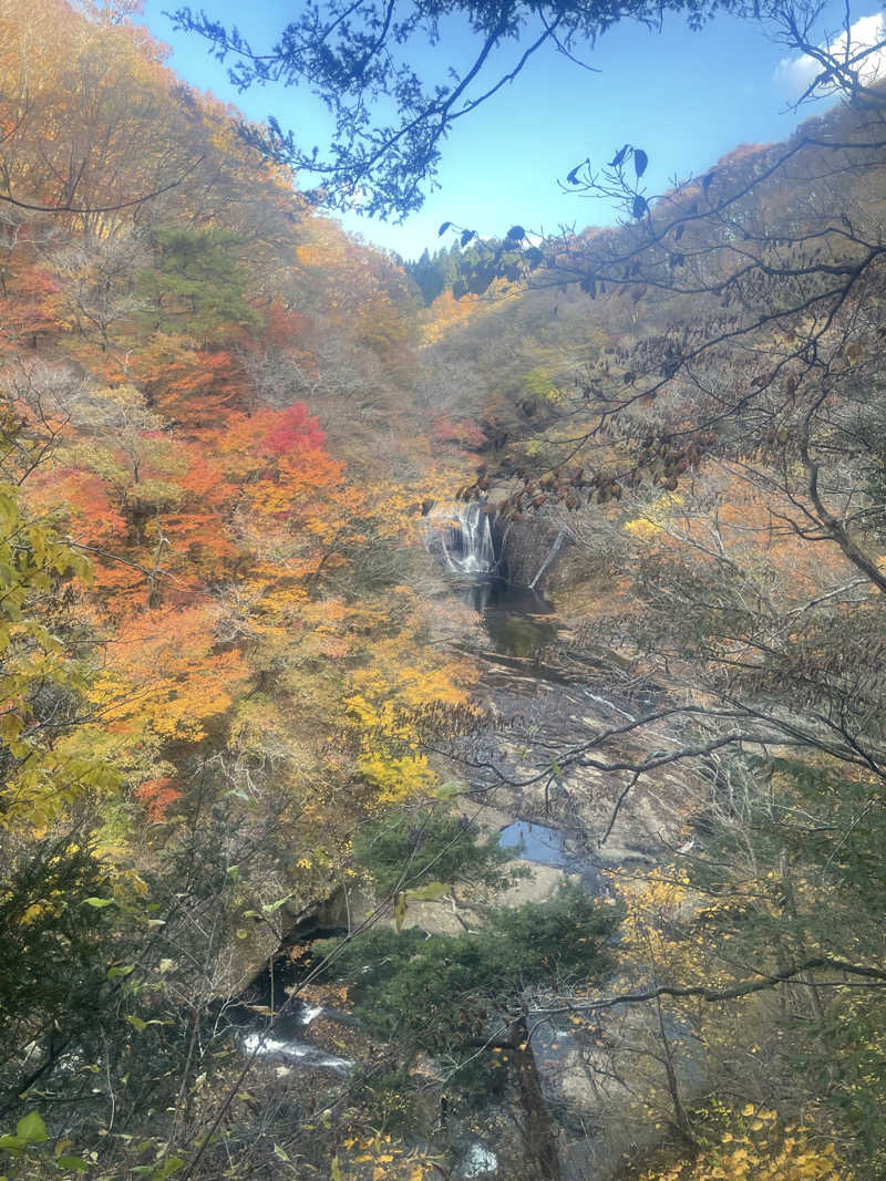 k.shinzoさんのおふろの王様 志木店のサ活写真