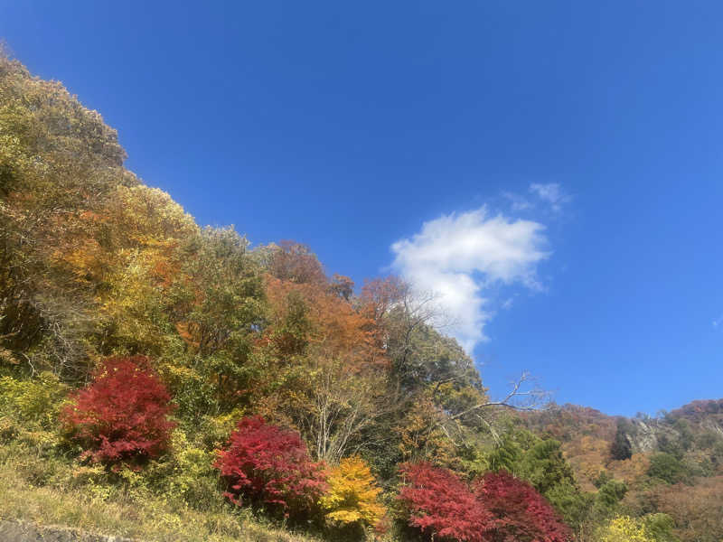 k.shinzoさんのおふろの王様 志木店のサ活写真