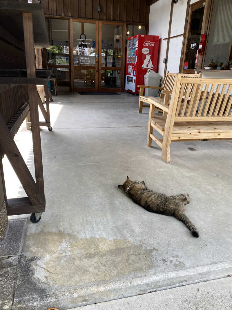 裏地見るプーチンさんのわいた温泉郷 ゆけむり茶屋のサ活写真
