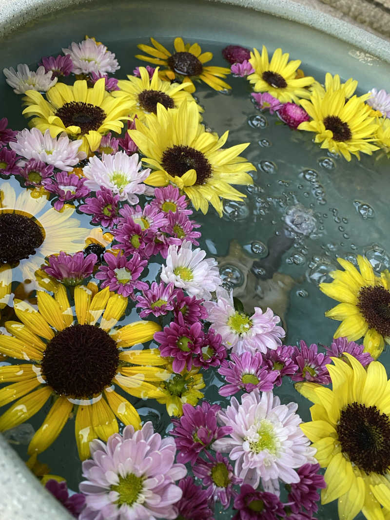 裏地見るプーチンさんの天然温泉 和楽の湯 下関せいりゅうのサ活写真