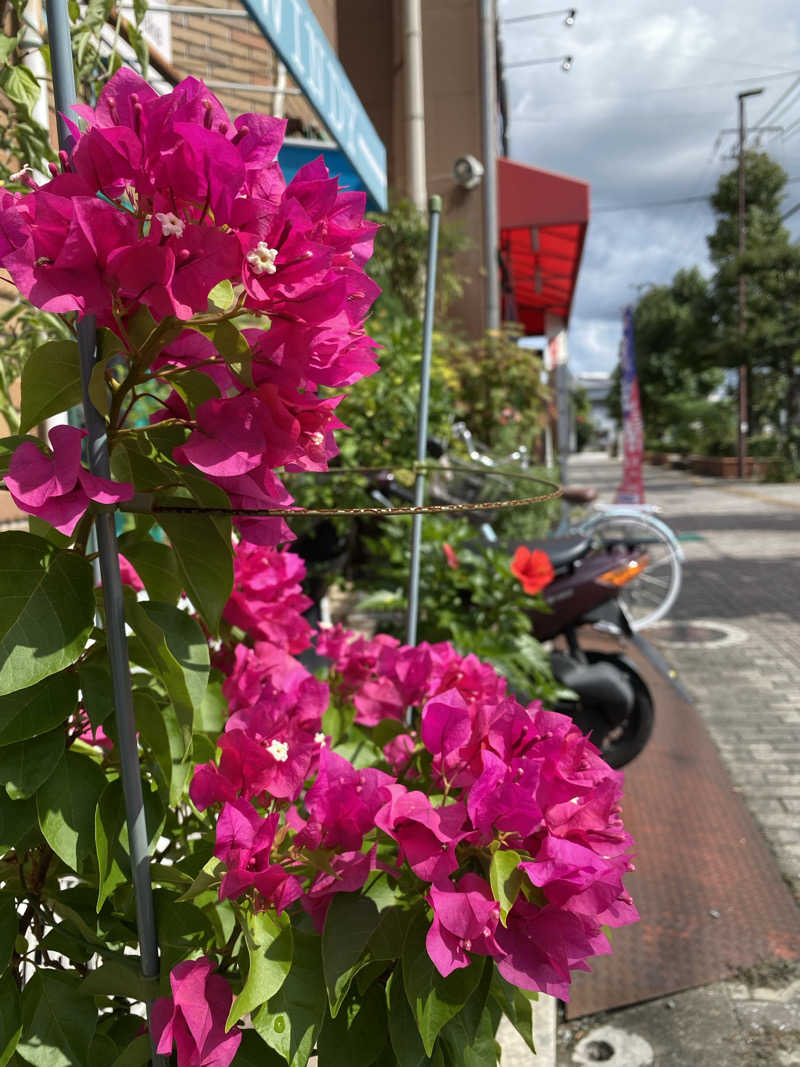 裏地見るプーチンさんの大牟田天然温泉 最高の湯のサ活写真