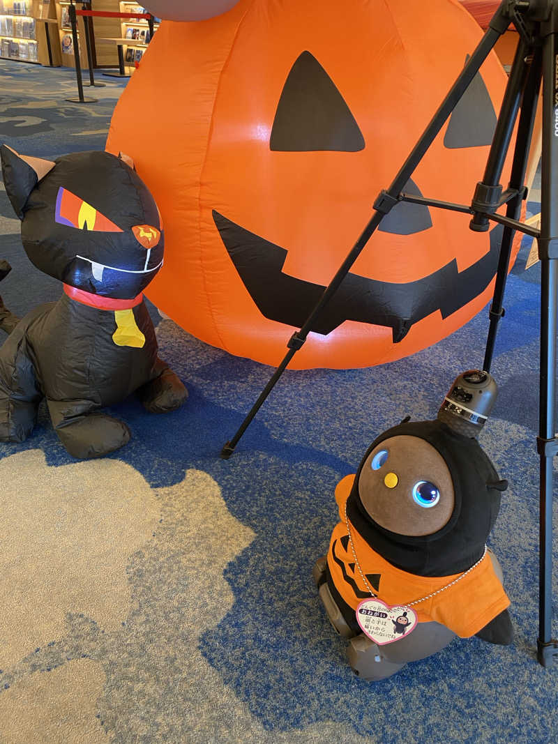 裏地見るプーチンさんの島原温泉 ホテル南風楼のサ活写真