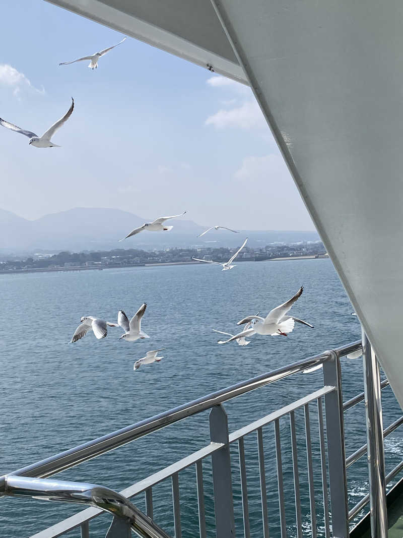 裏地見るプーチンさんの大江戸温泉物語 雲仙温泉 雲仙東洋館のサ活写真