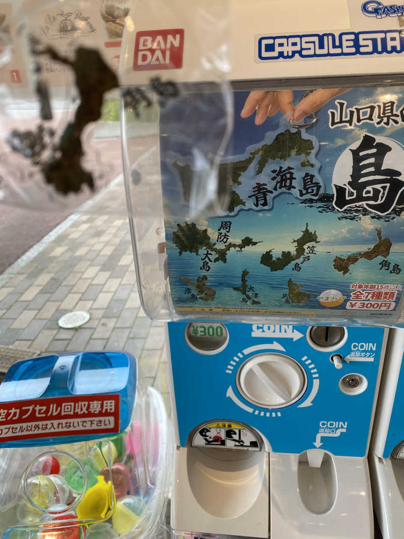 裏地見るプーチンさんの大谷山荘のサ活写真