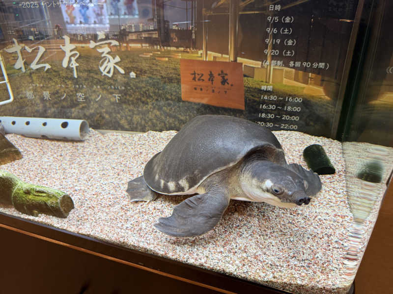 ☆ひろ☆さんの松本湯のサ活写真