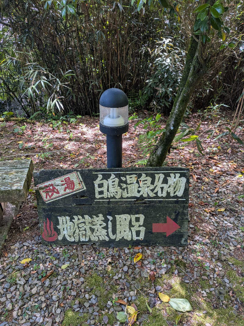 うめとらさんの白鳥温泉上湯のサ活写真