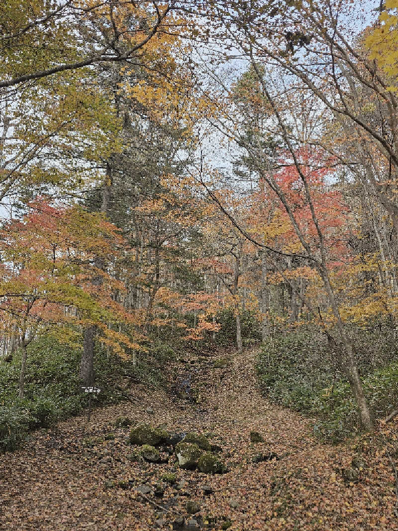 kzzさんの吹上温泉保養センター 白銀荘のサ活写真