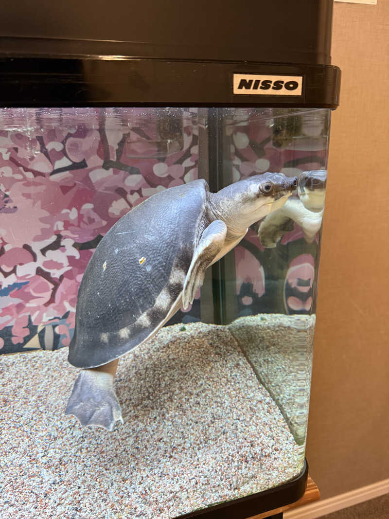 ばこちさんの松本湯のサ活写真