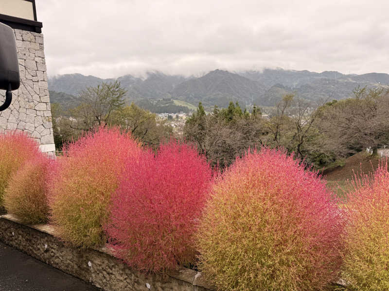 ばこちさんの江戸川区立 塩沢江戸川荘のサ活写真