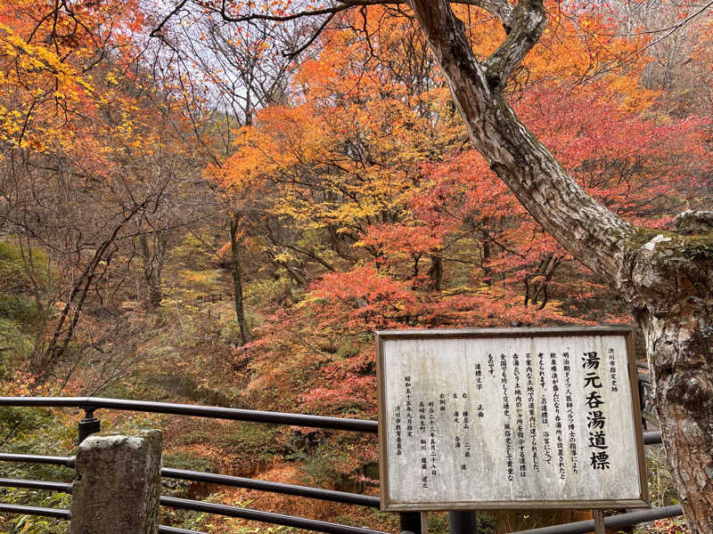 タカさんの高崎 京ヶ島天然温泉 湯都里のサ活写真