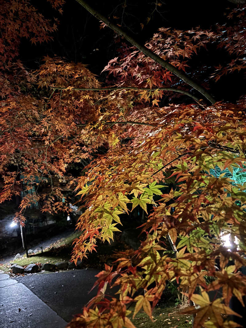 ミッケさんさんの八面山金色温泉のサ活写真