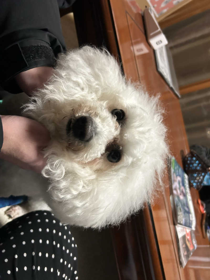 にわとりのししさんの鹿とサウナのサ活写真