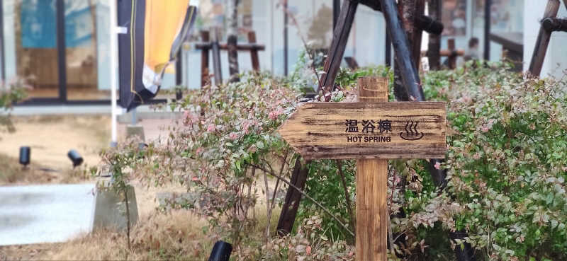 Tottiさんの佐賀の湯処 KOMOREBIのサ活写真