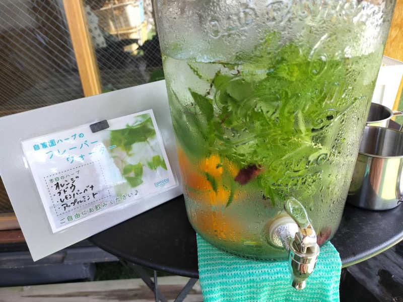 カワウソ(セイウチの妹)さんのGYU-YA VILLAのサ活写真