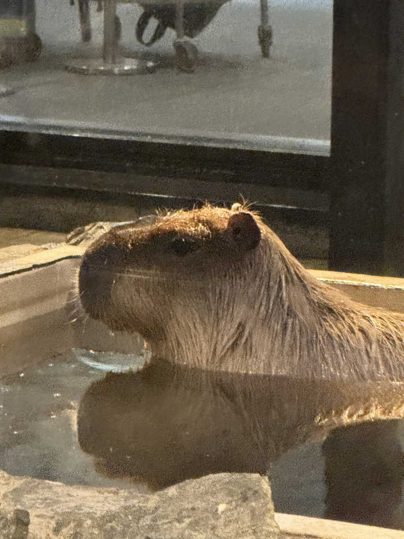 おじさんの宴さんの石狩天然温泉 番屋の湯のサ活写真