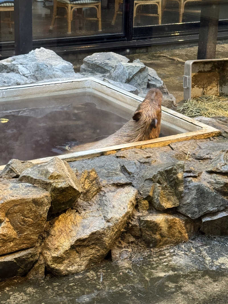 おじさんの宴さんの石狩天然温泉 番屋の湯のサ活写真