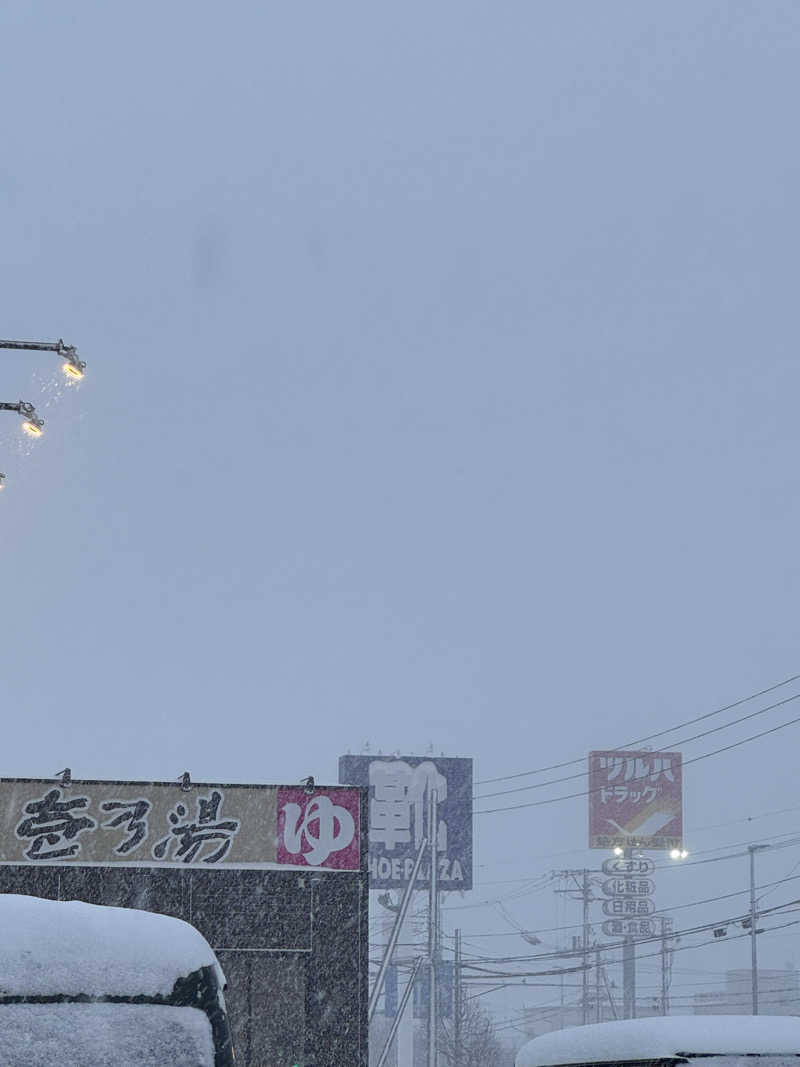 おじさんの宴さんの新琴似温泉 壱乃湯のサ活写真