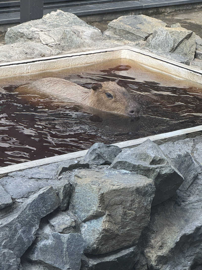 おじさんの宴さんの石狩天然温泉 番屋の湯のサ活写真