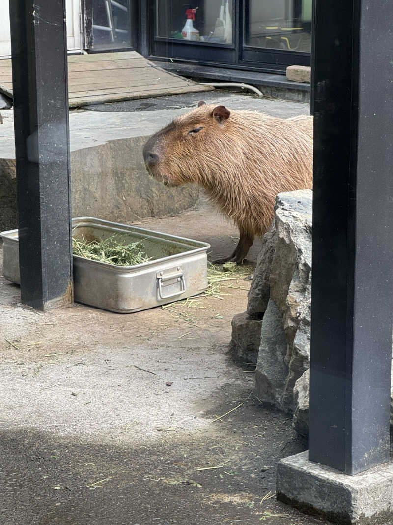 おじさんの宴さんの石狩天然温泉 番屋の湯のサ活写真