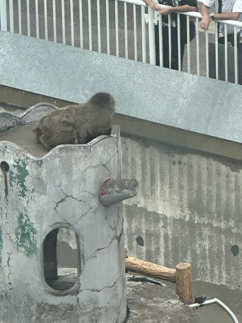 湯きさんのイマジン ホテル&リゾート函館のサ活写真