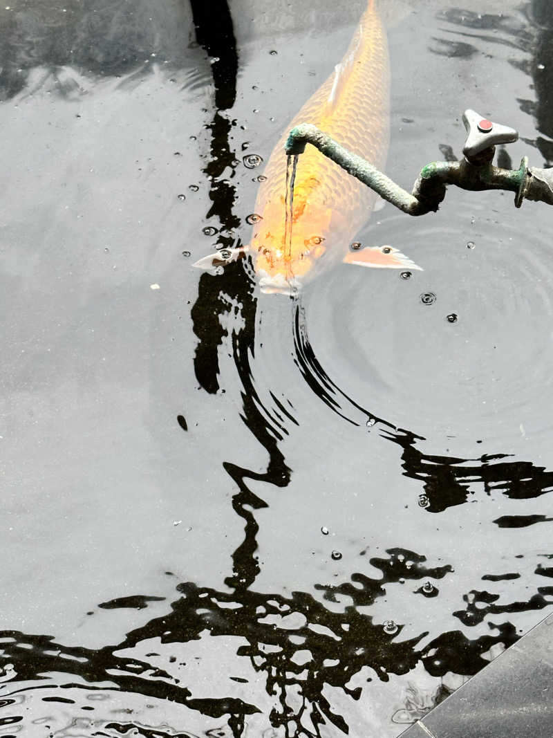 湯きさんの花園温泉のサ活写真