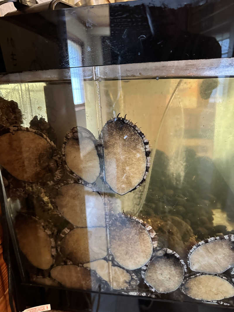 湯きさんの寿都温泉ゆべつのゆのサ活写真