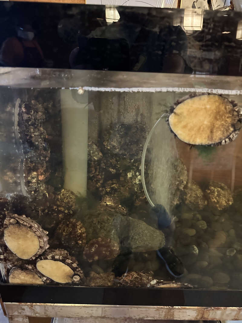 湯きさんの寿都温泉ゆべつのゆのサ活写真