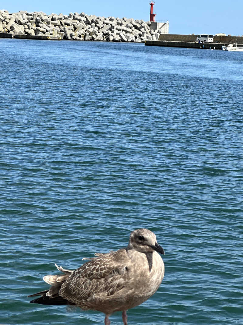 湯きさんの岬の湯 しゃこたんのサ活写真