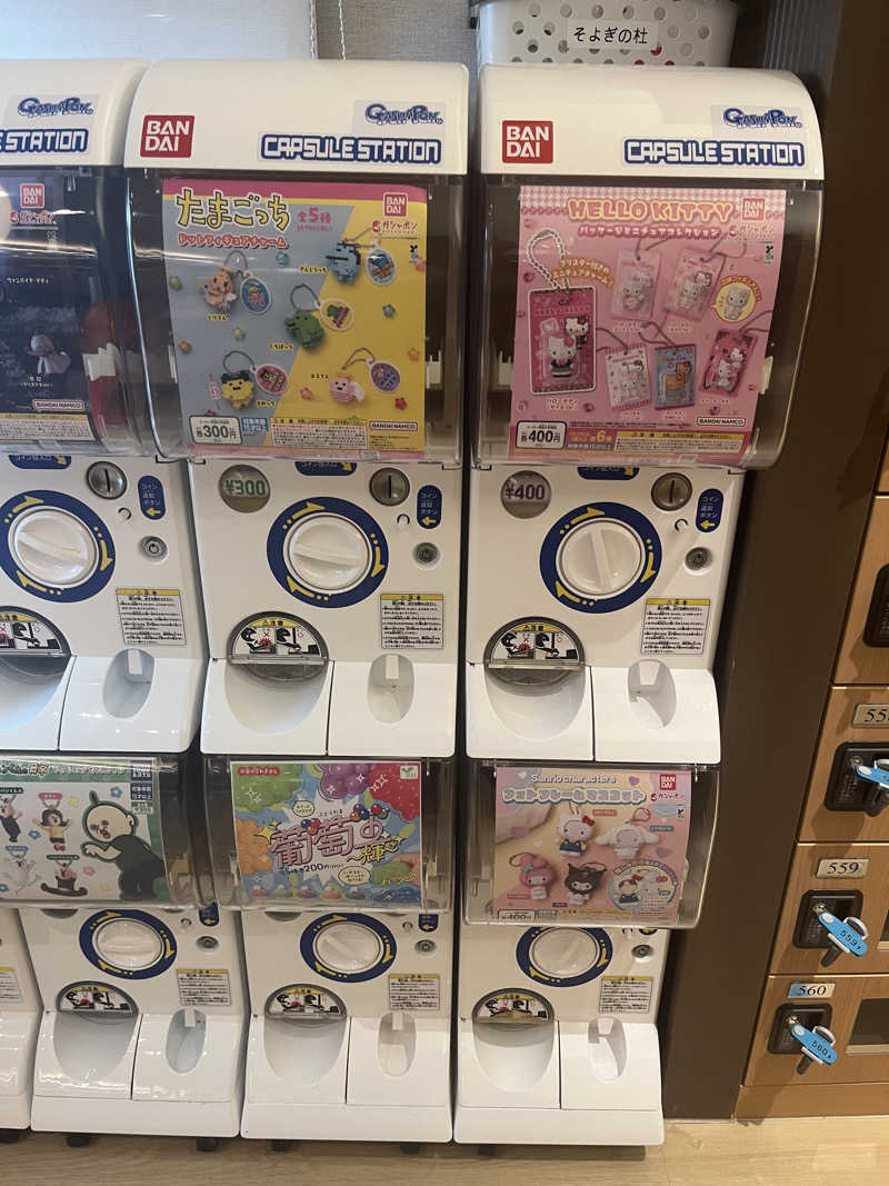 saumiさんの愛子天空の湯 そよぎの杜のサ活写真