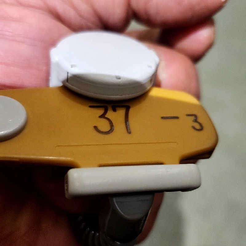 奇遇さんのスパメッツァ 仙台 竜泉寺の湯のサ活写真