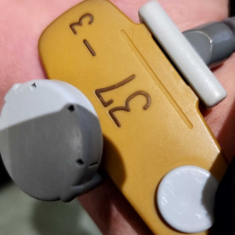 奇遇さんのスパメッツァ 仙台 竜泉寺の湯のサ活写真