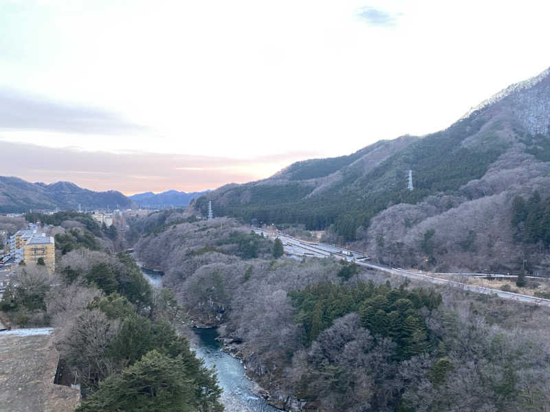 にっしーさんのホテルサンシャイン鬼怒川のサ活写真