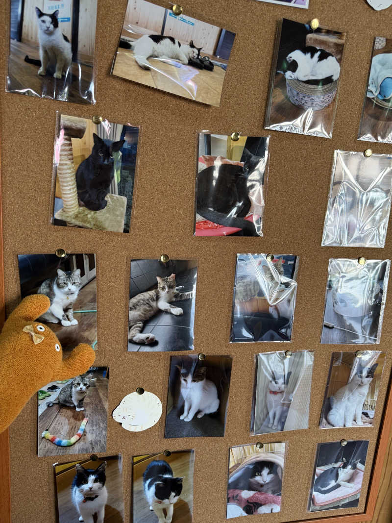 ぽんちゃんさんのヌルヌル有田温泉のサ活写真