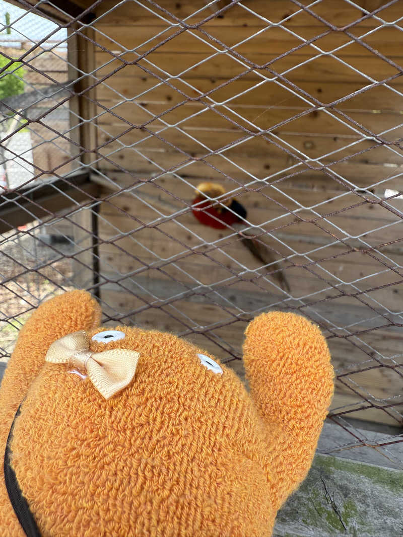 ぽんちゃんさんのおさるの湯のサ活写真