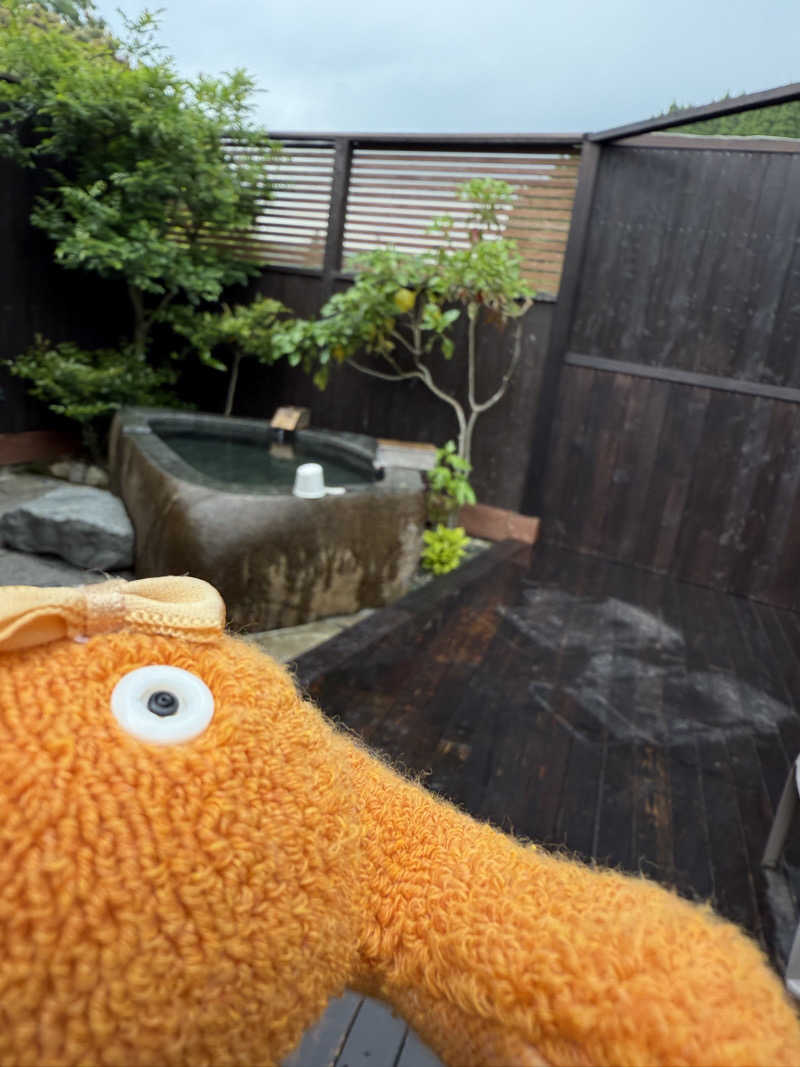 ぽんちゃんさんのプライベートサウナ湯の川のサ活写真