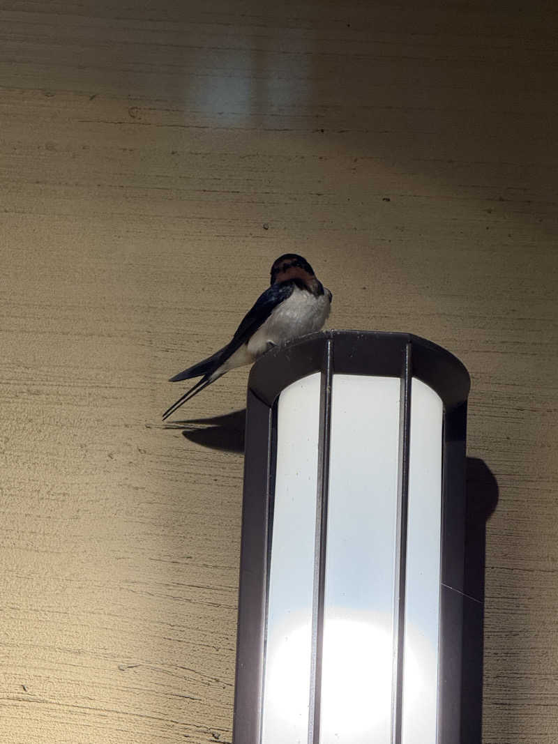 ぽんちゃんさんの筑紫野 天拝の郷のサ活写真