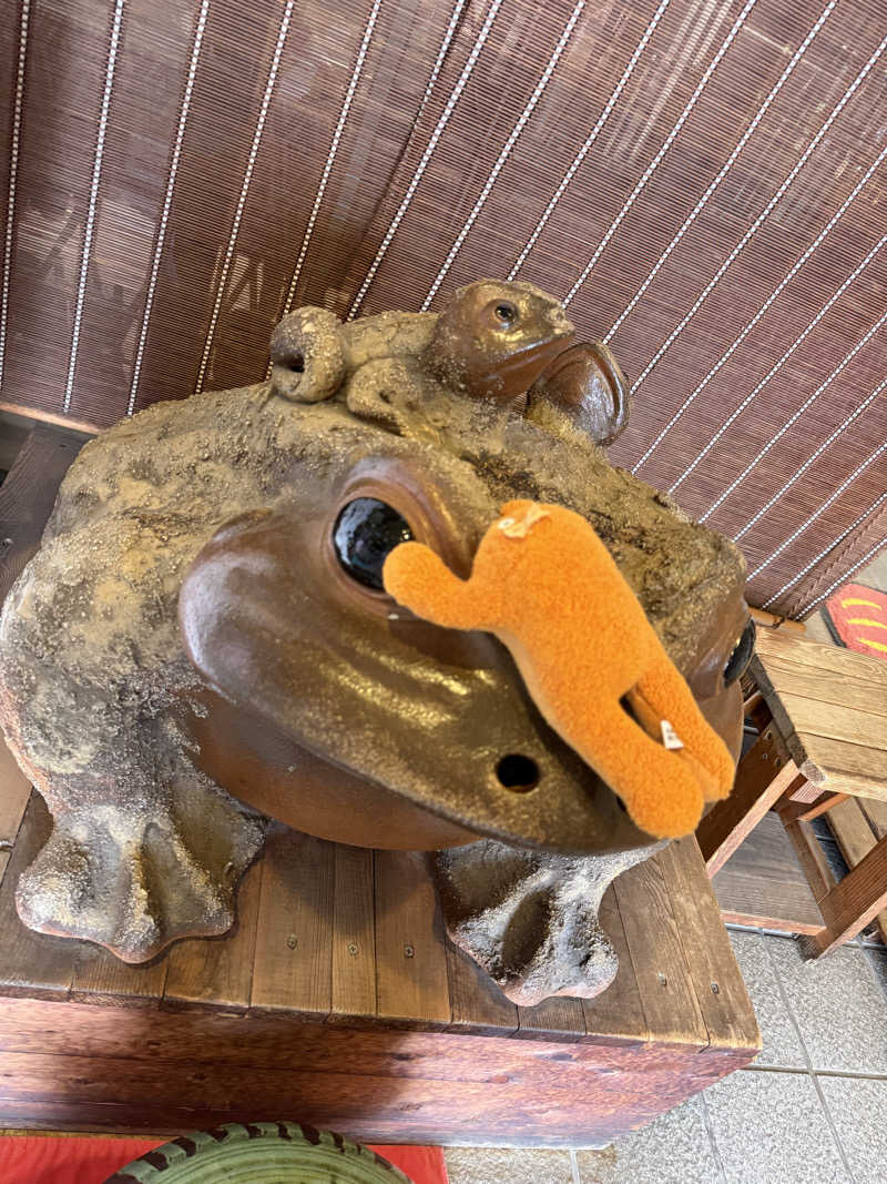 ぽんちゃんさんのこうの湯温泉のサ活写真