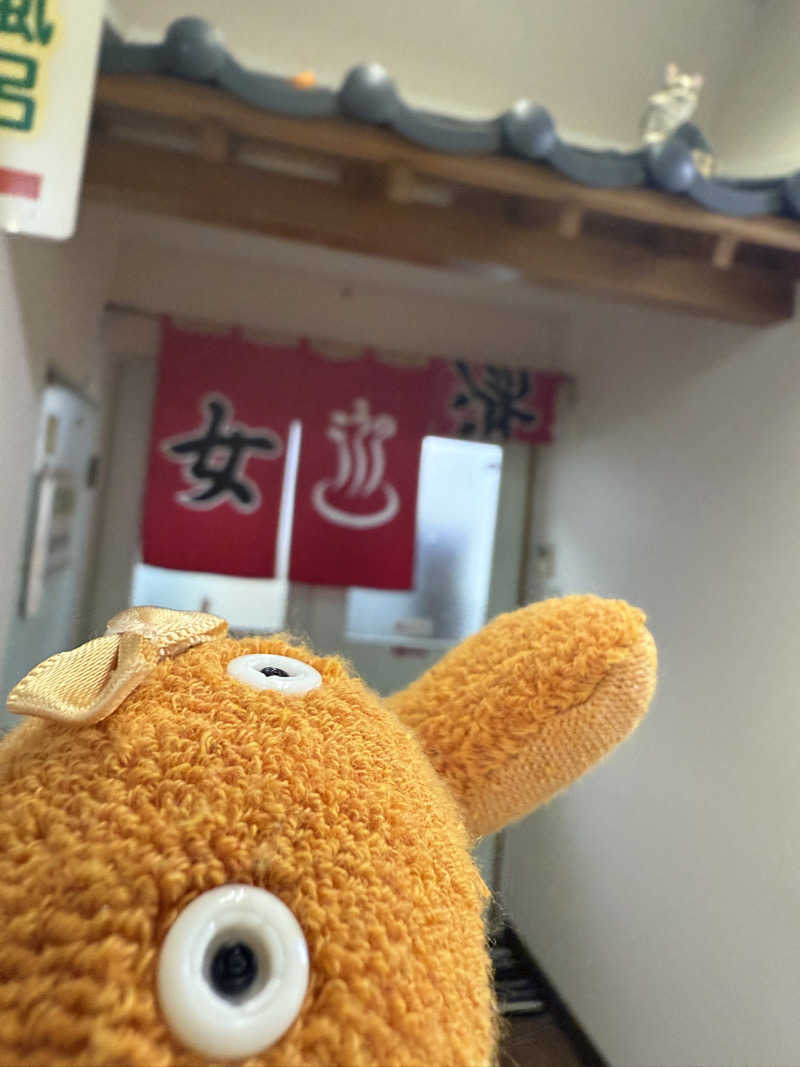 ぽんちゃんさんのこうの湯温泉のサ活写真