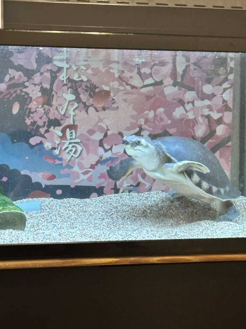 田邉颯都/Hayato Tさんの松本湯のサ活写真
