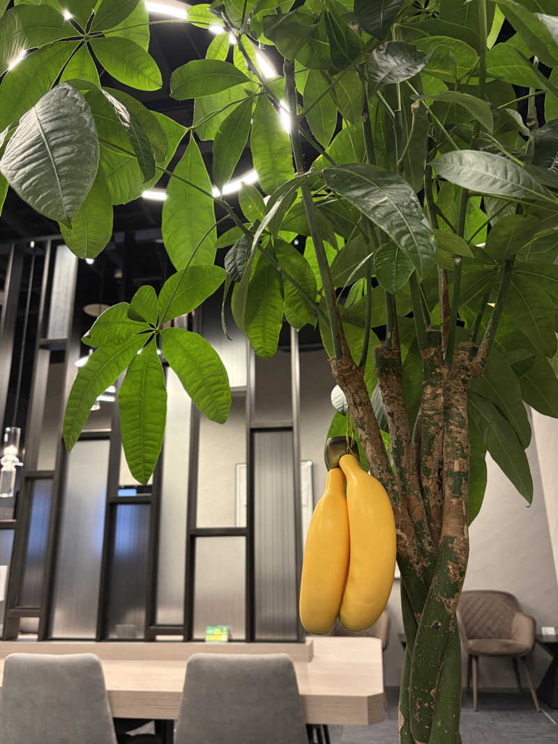 ぽこりんさんのSAUNA MONKEY / サウナモンキー 名古屋のサ活写真