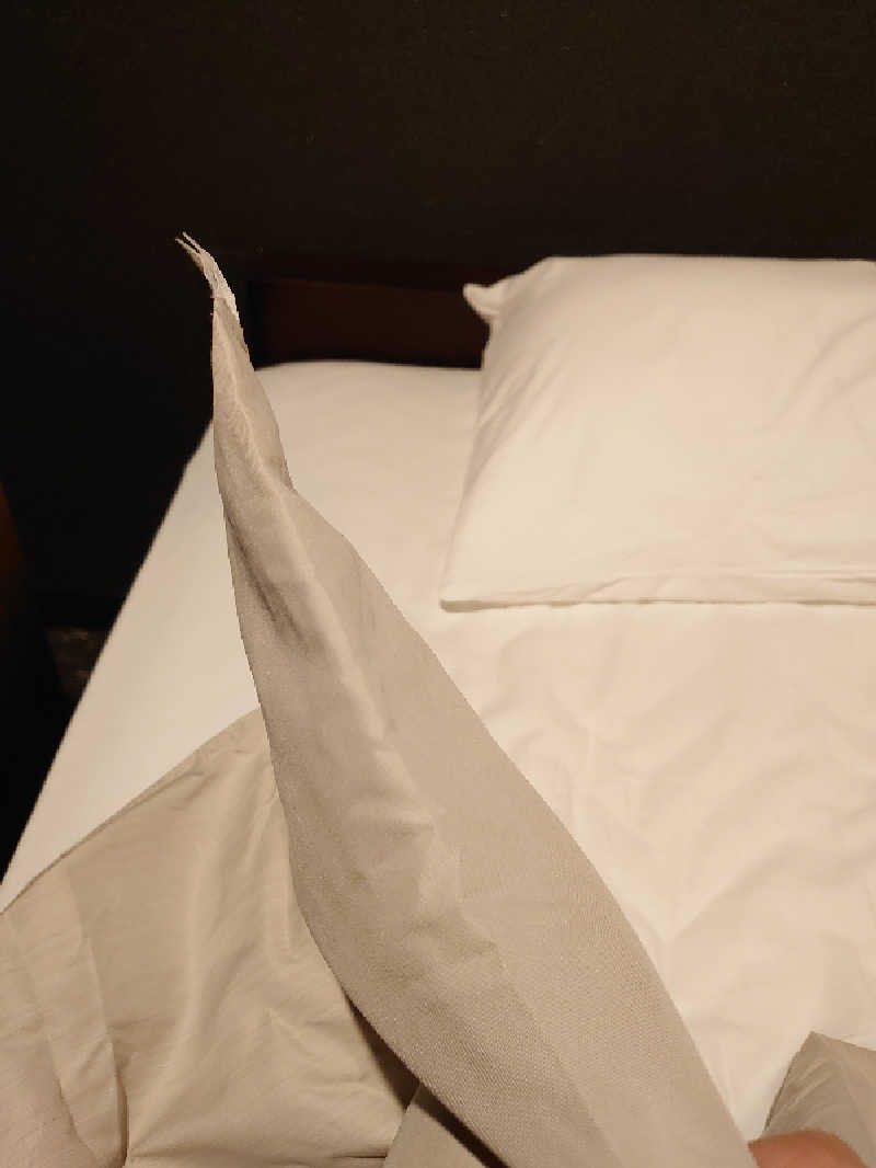 き〇湯で沈没するアヒリュ隊長さんの新岐阜サウナのサ活写真