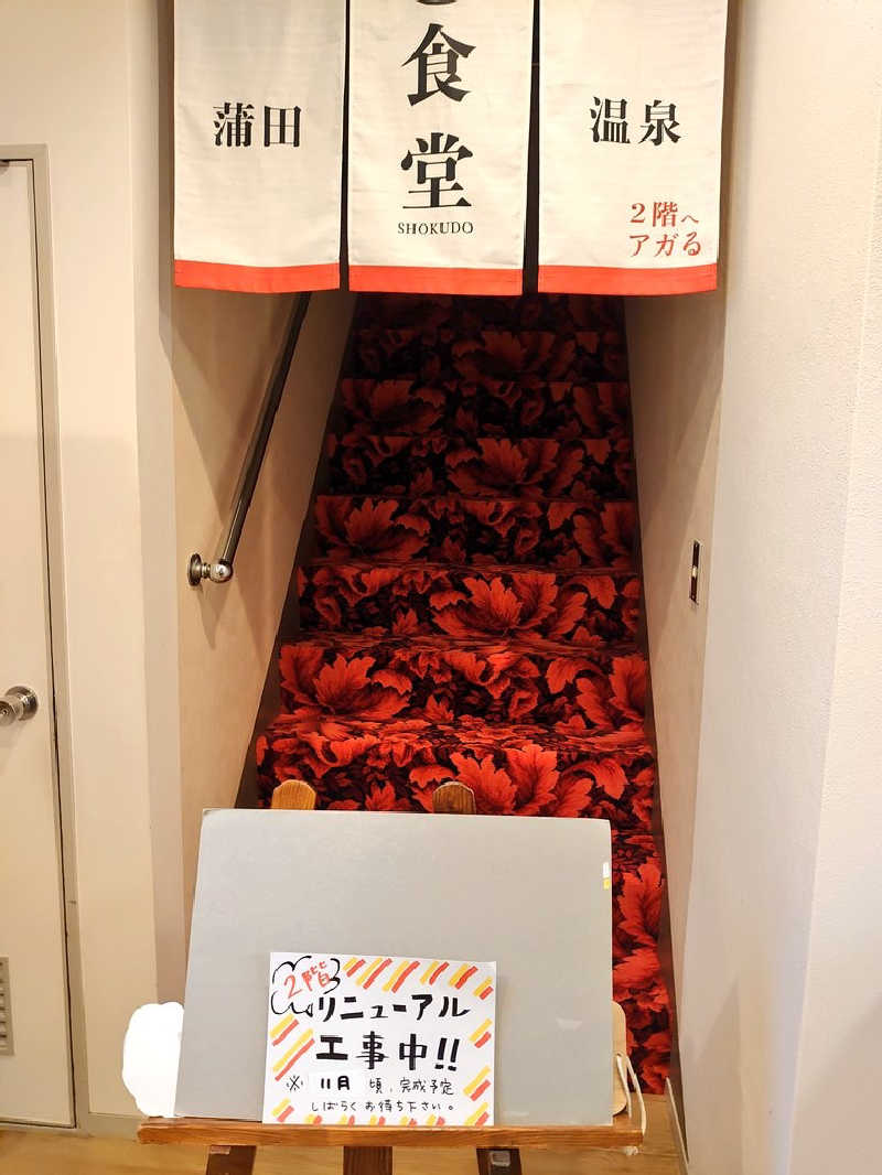 き〇湯で逆走するアヒリュ隊長さんの蒲田温泉のサ活写真