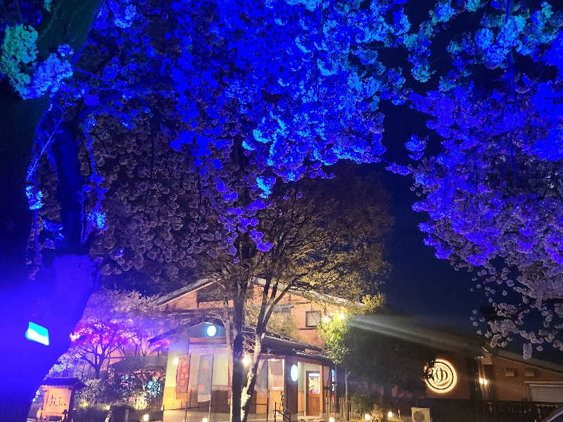 きょんたさんの林檎の湯屋 おぶ～のサ活写真