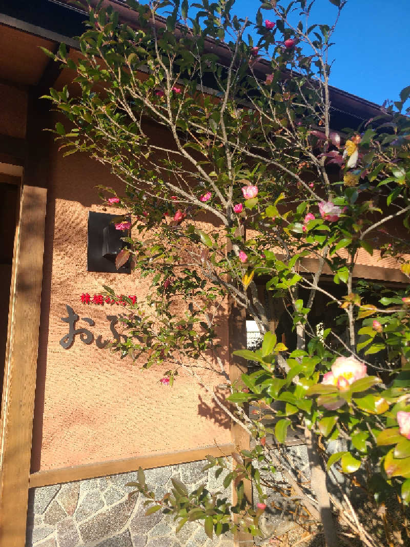 きょんたさんの林檎の湯屋 おぶ～のサ活写真