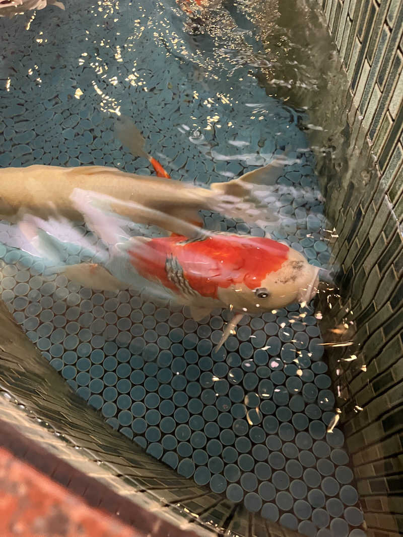 炭酸むぎ茶さんの夢の公衆浴場 五色のサ活写真