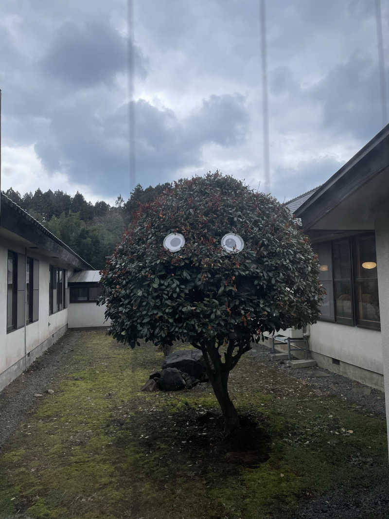 葉ッさん 🌱さんの金浦温泉・学校の栖のサ活写真